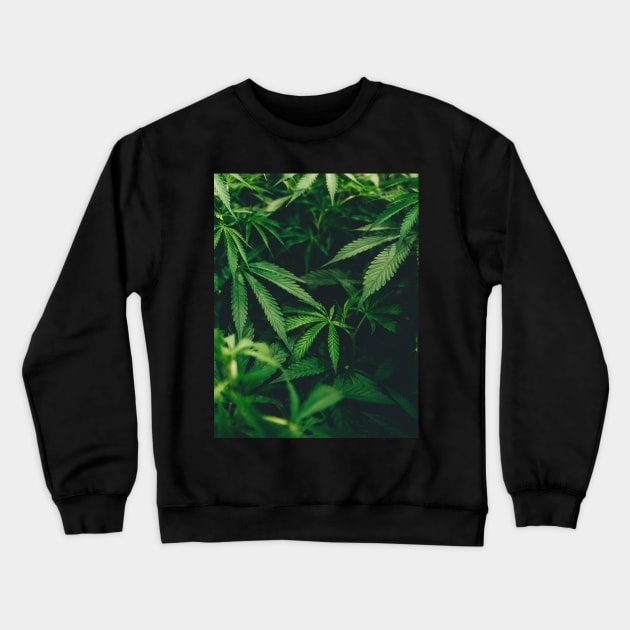 Cannabis Marijuana Leaves Crewneck Sweatshirt by moonandcat